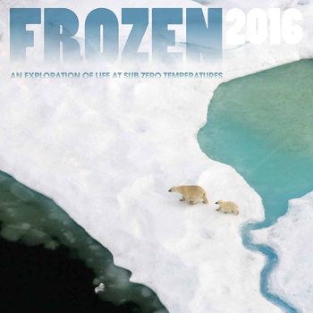 Calendar 2021 Frozen