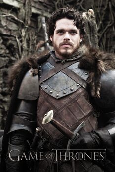 Εκτύπωση καμβά Game of Thrones - Robb Stark