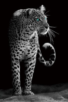 Γυάλινη τέχνη Gepard - Black and White