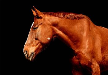 Glass Art A Portrait