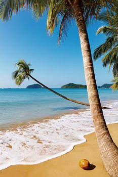 Glass Art Dream - Palm Beach