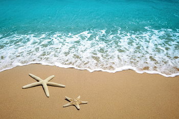 Glass Art Sea - Stars in the Sand