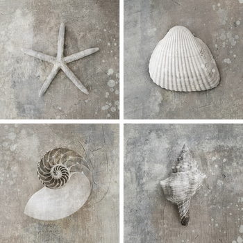 Glass Art Sea - White Collage