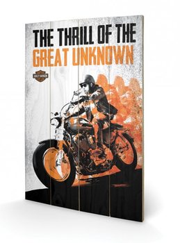 Ξύλινη τέχνη HARLEY DAVIDSON - great unknow