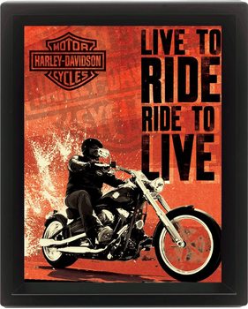 Πλαισιωμένη 3D αφίσα HARLEY DAVIDSON - live