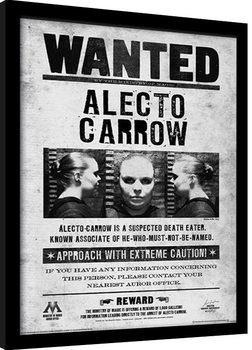 Framed Poster Harry Potter - Alecto Wanted
