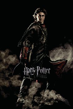 Bilde på lerret Harry Potter and the Goblet of Fire - Harry