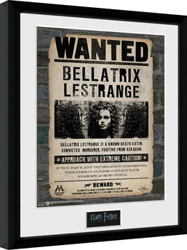 Poster emoldurado Harry Potter - Bellatrix