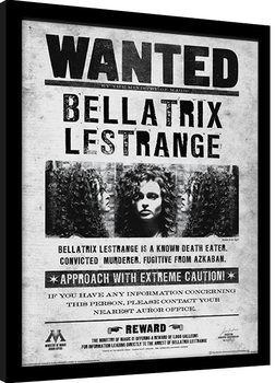 Poster emoldurado Harry Potter - Bellatrix Wanted