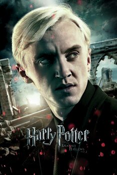 Принти на полотні Harry Potter - Draco