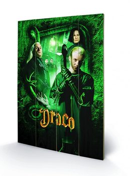 Ξύλινη τέχνη Harry Potter - Draco