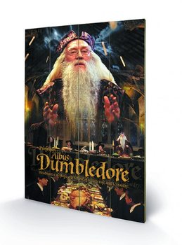 Ξύλινη τέχνη Harry Potter - Dumbledore