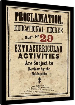 Framed poster Harry Potter - Educational Decree No. 29