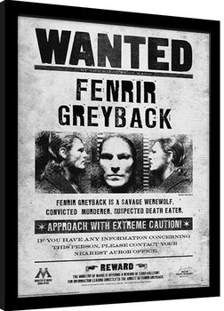 Framed Poster Harry Potter - Fenrir Wanted