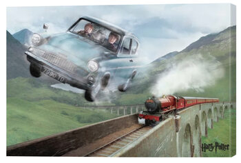 Harry Potter - Flying Ford Anglia Mounted Art Print