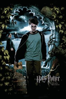 Canvas Print Harry Potter - Harry