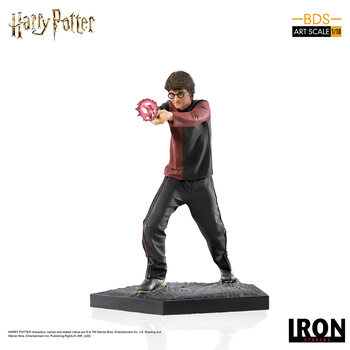 Figurine Harry Potter - Harry Potter