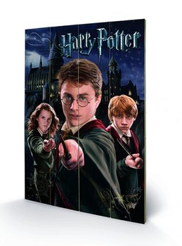 Ξύλινη τέχνη Harry Potter – Harry, Ron, Hermione