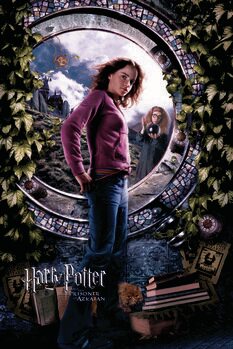 Принти на полотні Harry Potter - Hermione