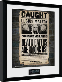 Poster emoldurado Harry Potter - Lucius