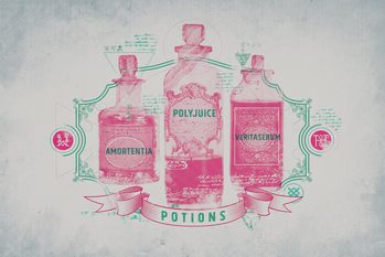 Canvas Print Harry Potter - Potions
