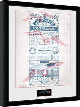 Framed poster Harry Potter - Quidditch at Hogwarts
