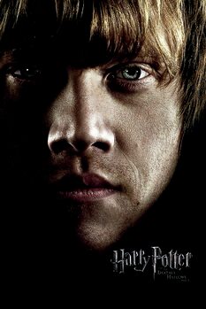 Принти на полотні Harry Potter - Ron