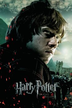 Εκτύπωση καμβά Harry Potter - Ron Weasley