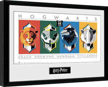 Kehystetty juliste Harry Potter - Sigils