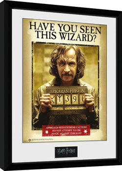 Poster emoldurado Harry Potter - Sirius Azkaban