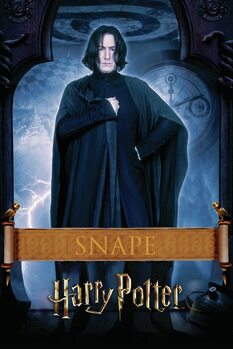 Canvas Print Harry Potter - Snape