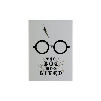 Μαγνητάκι Harry Potter - The Boy Who Lived