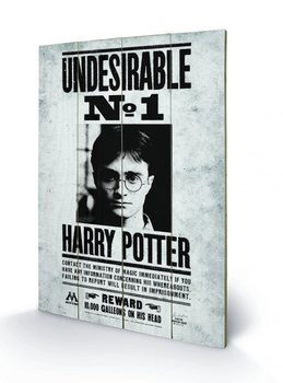 Ξύλινη τέχνη Harry Potter - Undesirable No1