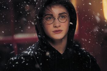 Принти на полотні Harry Potter - Winter in Hogsmeade