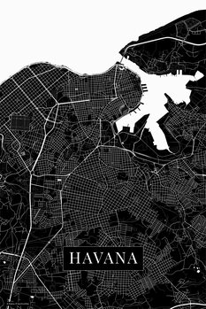 Принти на полотні Havana black