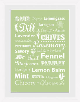 Poster emoldurado Herb - Types