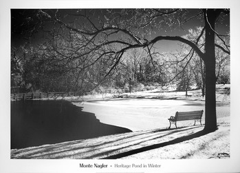 Art Print Heritage Pond in Winter