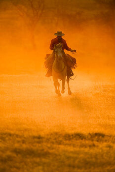 Наклейка Horseback rider