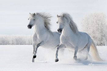 Γυάλινη τέχνη Horses - Two White Horses