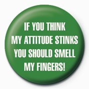Κονκάρδα IF YOU THINK MY ATTITUDE S