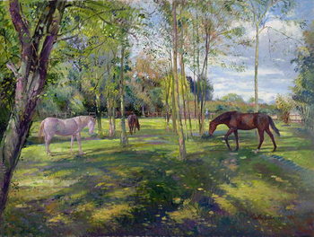 Принти на полотні In the Rectory Paddock, 1993