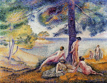 Принти на полотні In the Shade, 1902