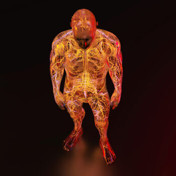 Принти на полотні Internal Body Systems, c.2015-2025