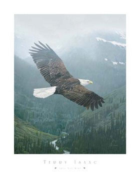 Art Print Into The Mist