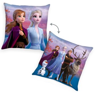 Jastuk Frozen 2 - Characters