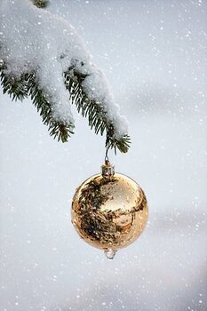 Juliste A Gold Ball Ornament Hanging From