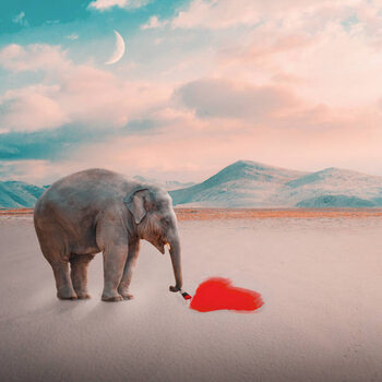 Juliste Abstract concept,Side view of elephant standing