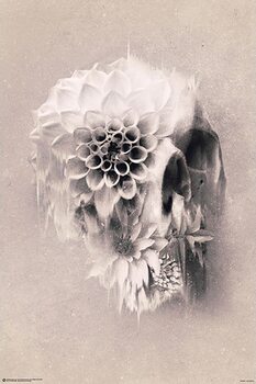 Juliste Ali Gülec - Decay Skull