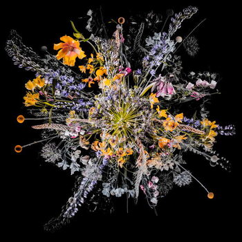 Juliste Bouquet VII, 2018