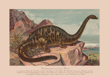 Juliste Brontosaurus excelsus, Late Jurassic epoch, chromolithograph,